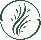 Prebiotics