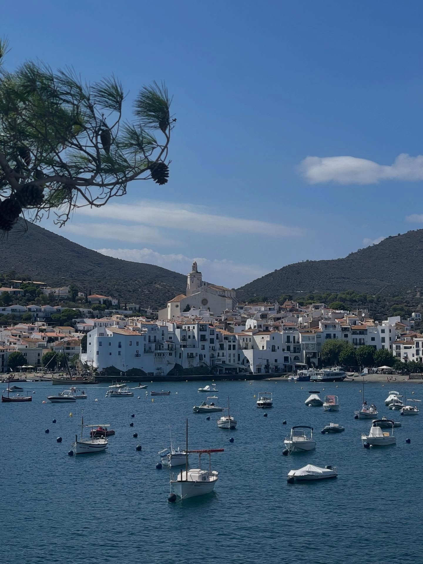 Harbour with small boats moored in calm blue sea, white coastal village with hillside church and pine branch in foreground, sunny sky