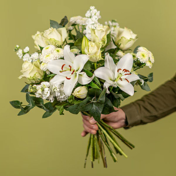 IVORY DREAMS