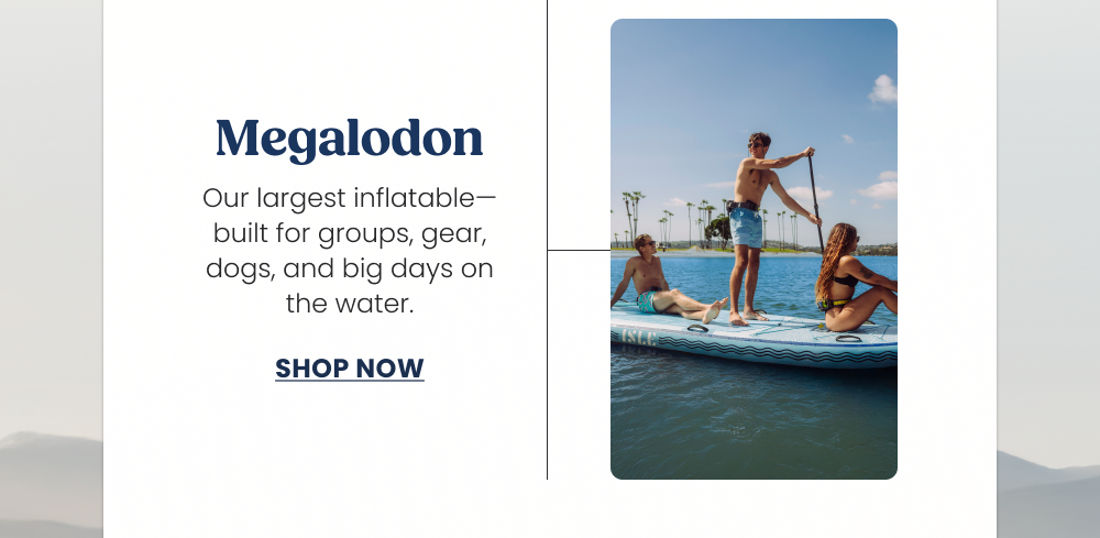 The Megalodon