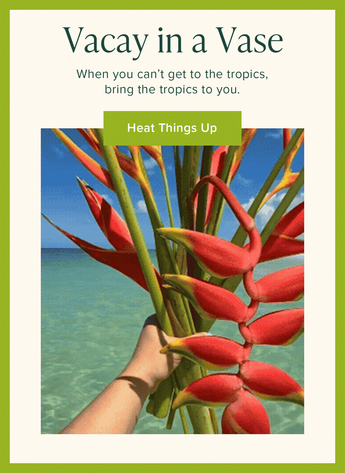 Vacay in a Vase. When you can't get to the tropics bring the tropics to you. Heat Things Up.