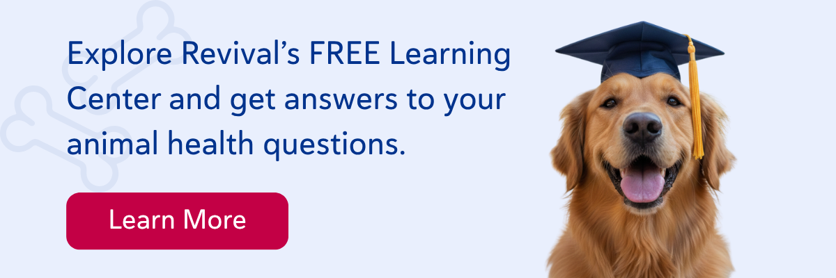 Revival’s free Learning Center