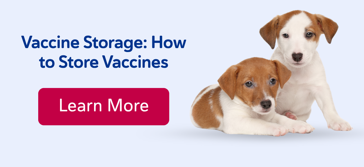 Vaccine Storage: How to Store Vaccines