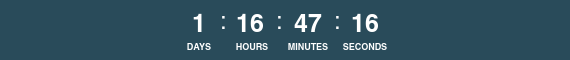 24 Hour Countdown Timer