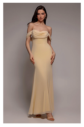 Chiffon Bardot Cowl Neck Maxi Dress 
