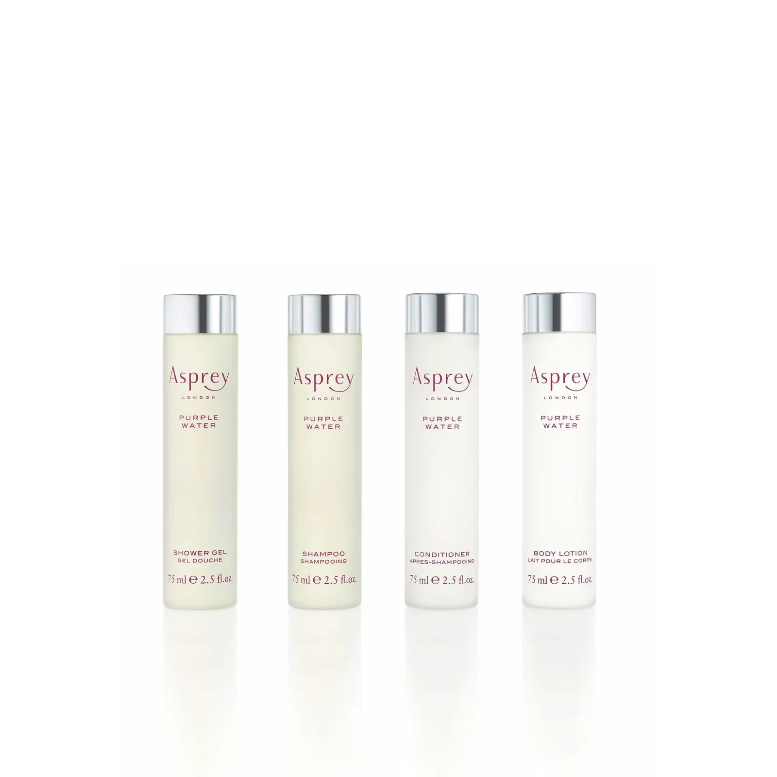 Image of Purple Water Gift Set