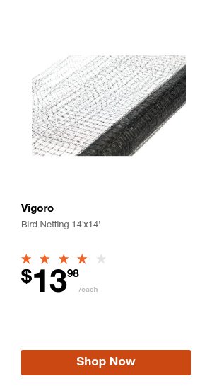 Shop Now Product 3