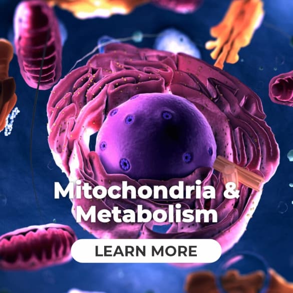 jayton miller, mitochondria and metabolism