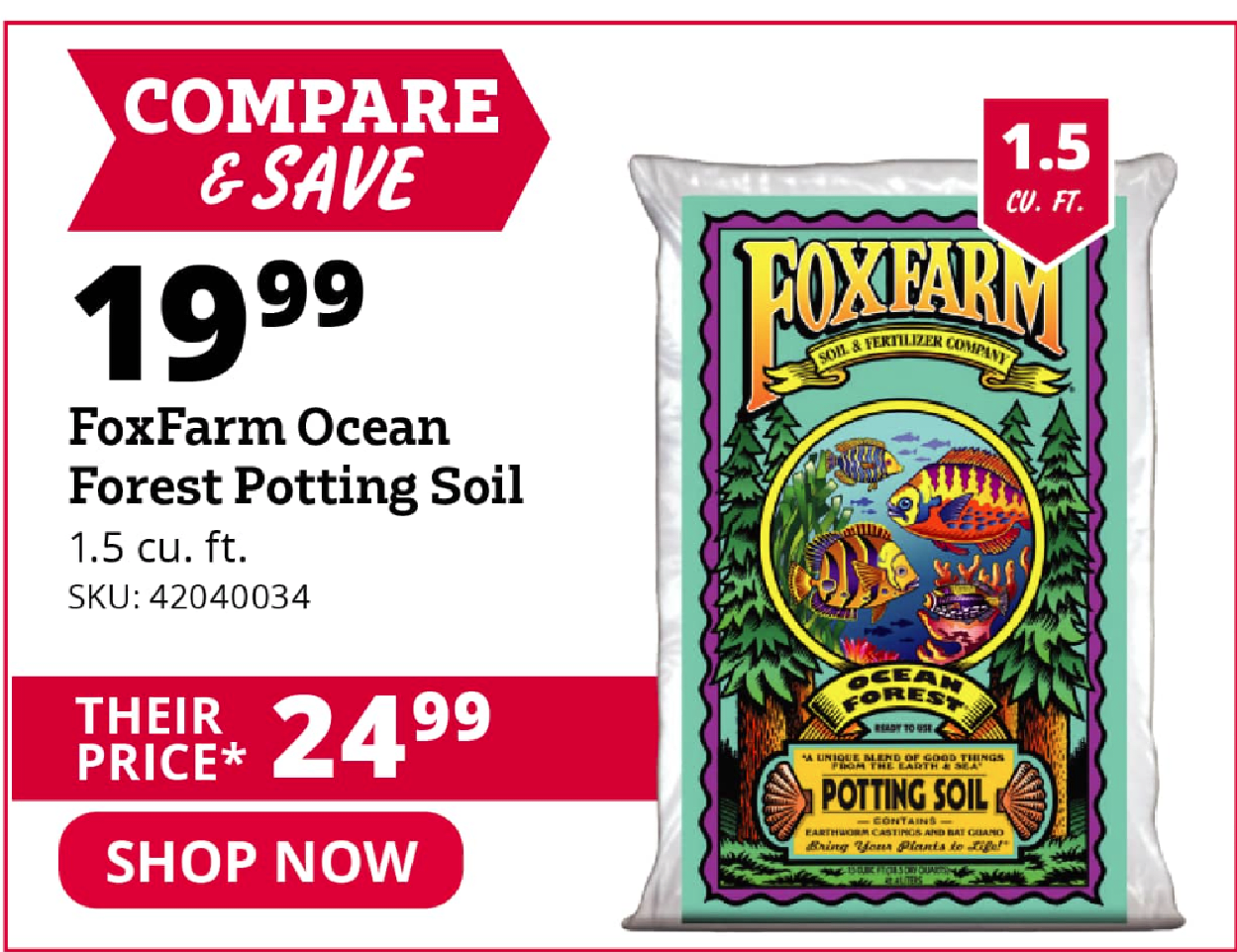ocean forest soil