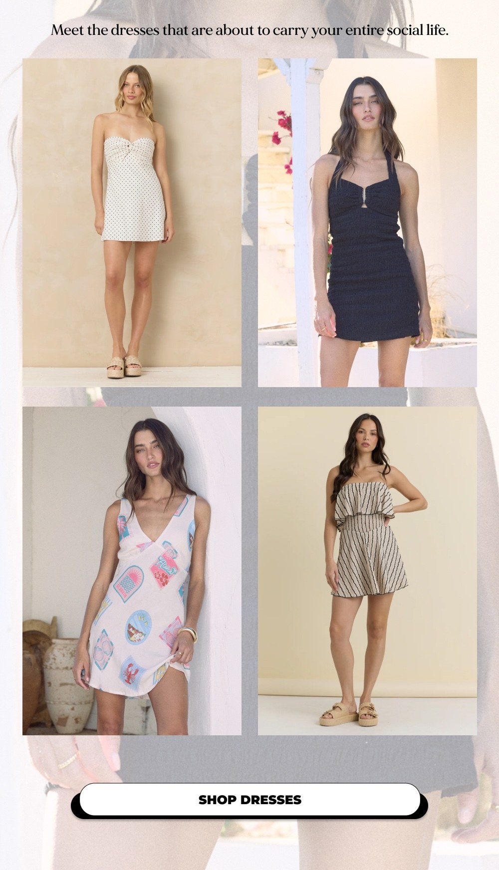 SHOP DRESSES