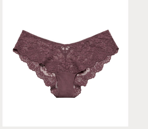 Diva Cheeky Panty with Timeless Lace in Plum Wine