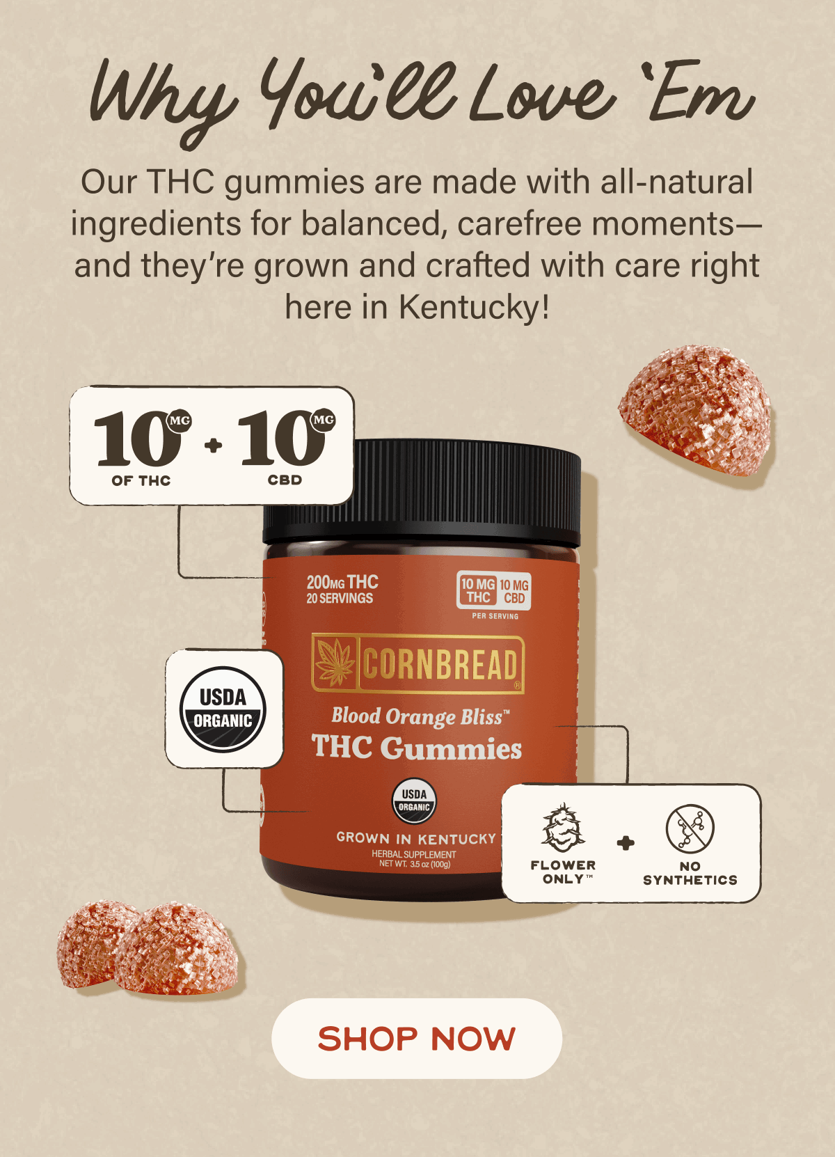 Blood Orange Bliss THC Gummies: Why you'll love 'em