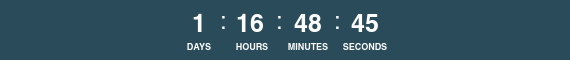 24 Hour Countdown Timer