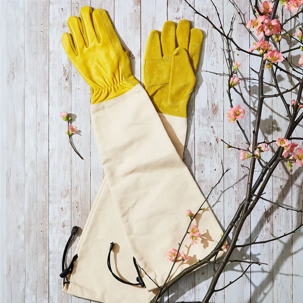 Image of Heavy-Duty Bramble Gloves With Integrated Arm Guards - Medium