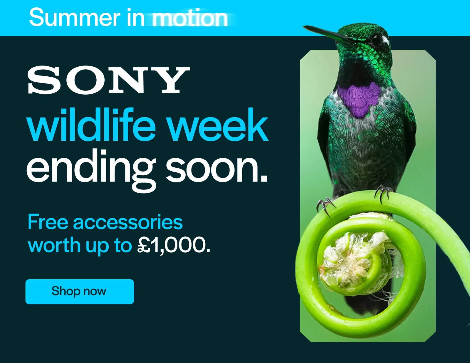 Sony wildlife week ending soon. Free accessories worth up to £1,000.