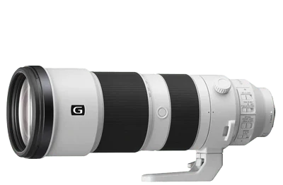 Sony FE 200-600mm f5.6-6.3 G OSS Lens