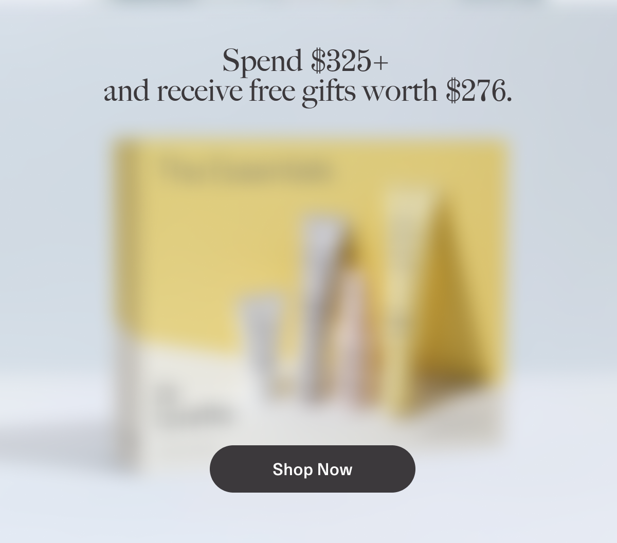 offer 3: spend $325