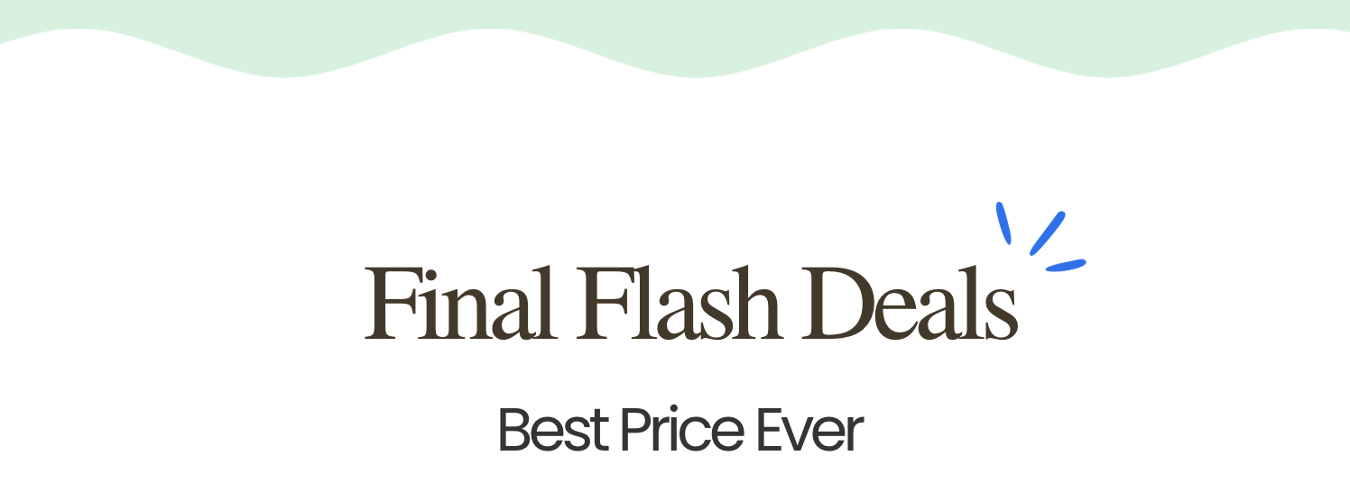Final Flash Deals: Best Price Ever