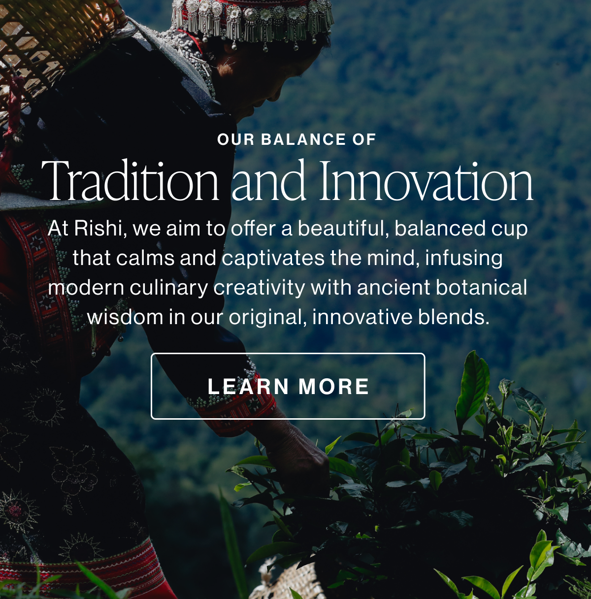 Learn More About Rishi Tea