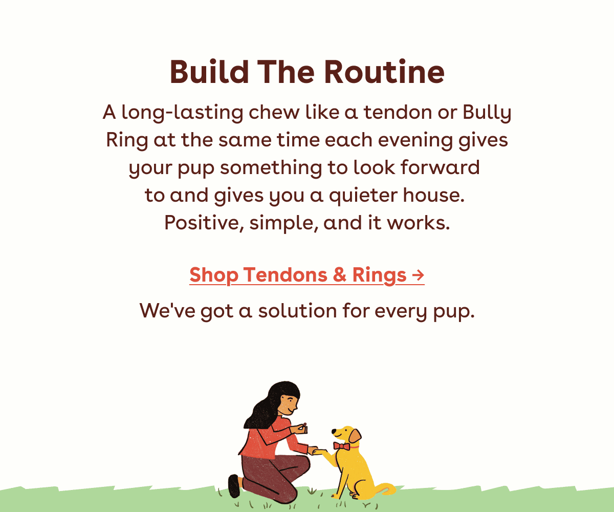 Shop tendons and rings 