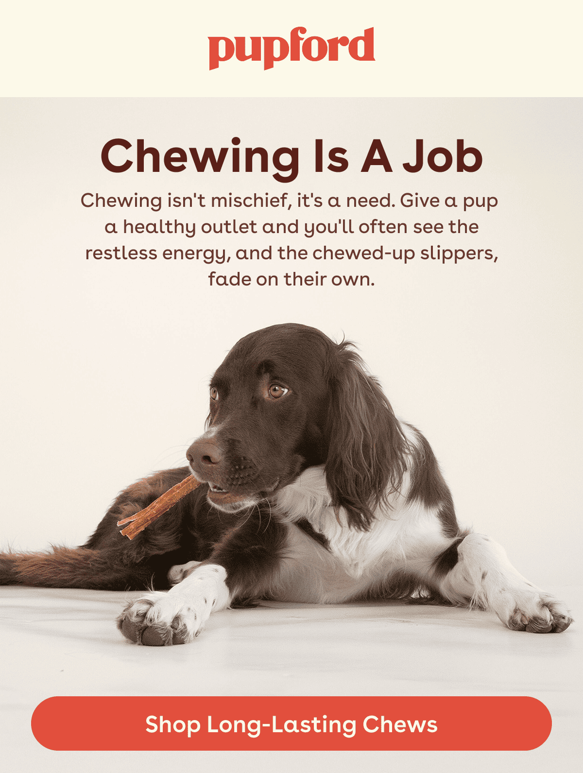 Shop long lasting chews 
