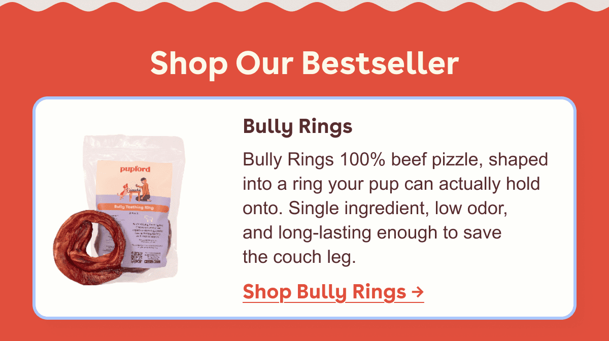Shop our best seller 