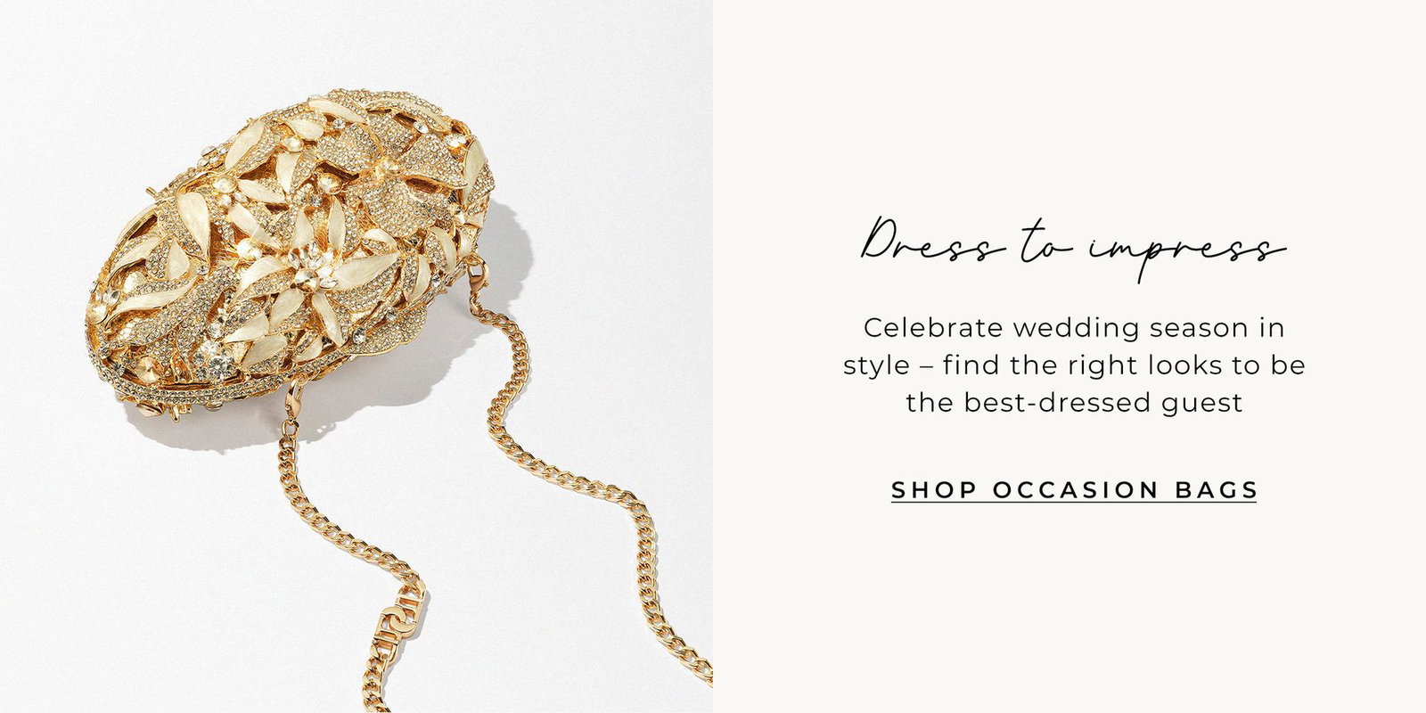 Shop occasion bags