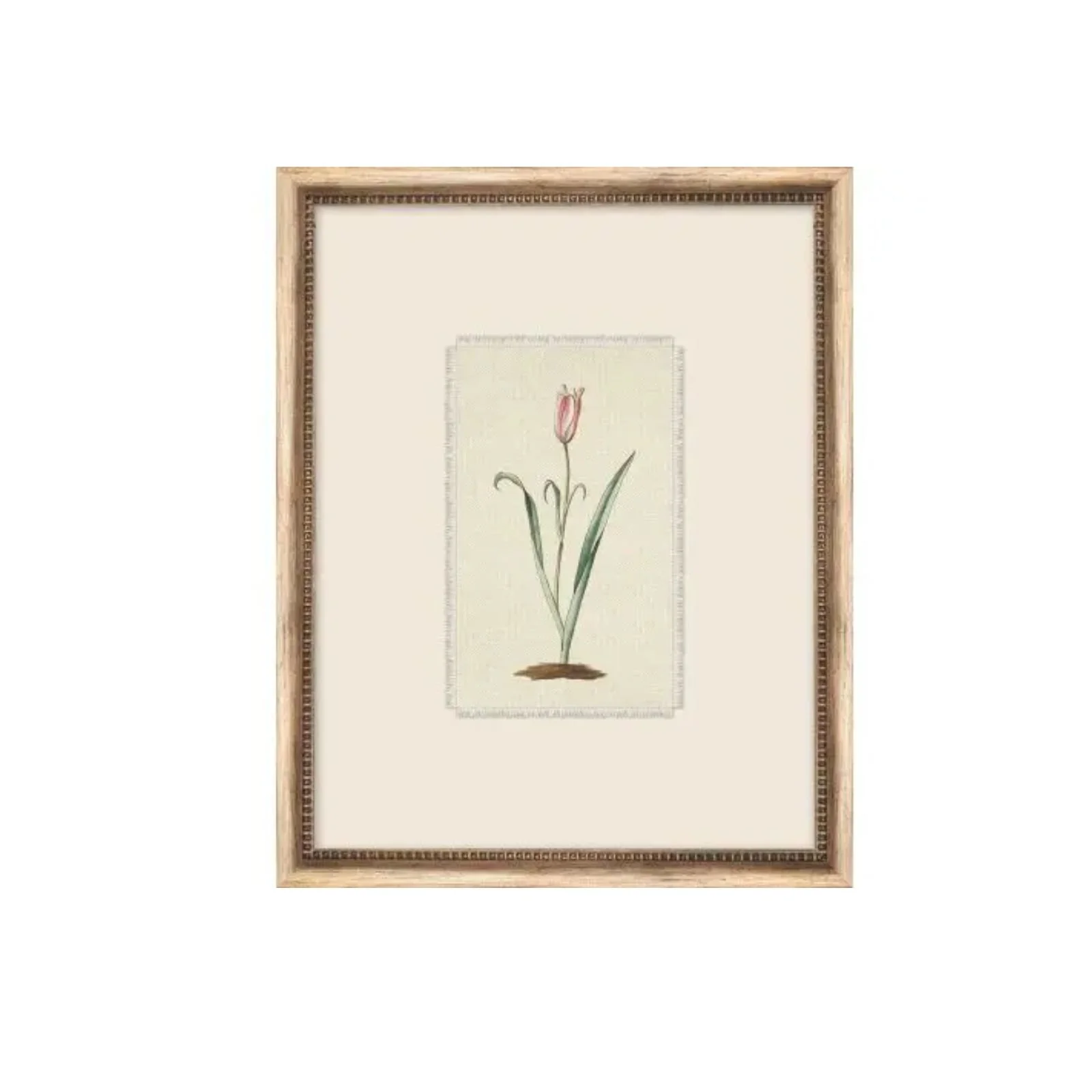 Image of Treillage Botanical V