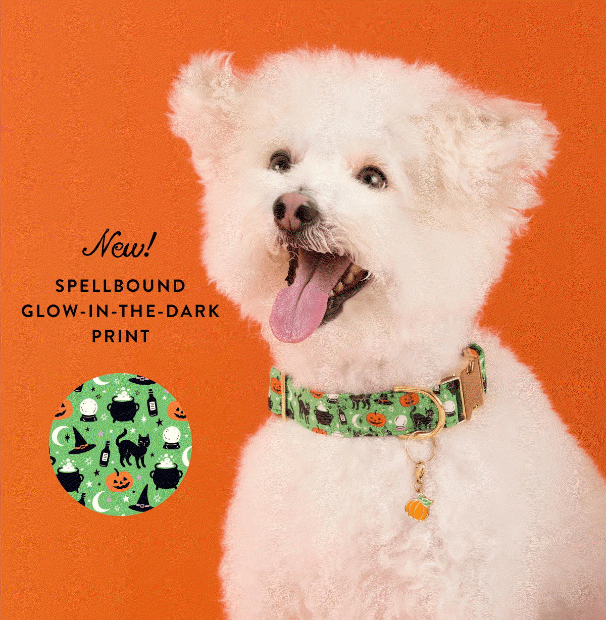 Shop Halloween