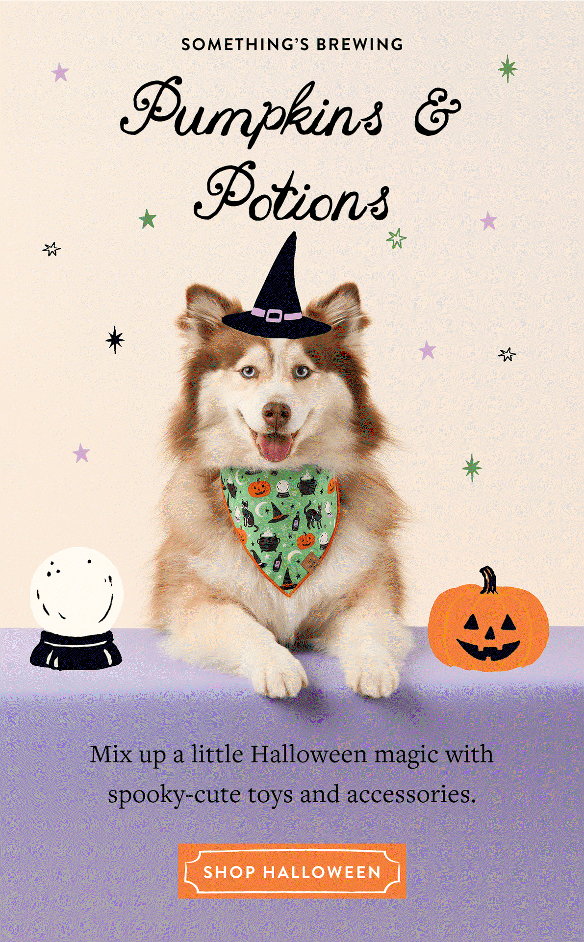 Shop Halloween