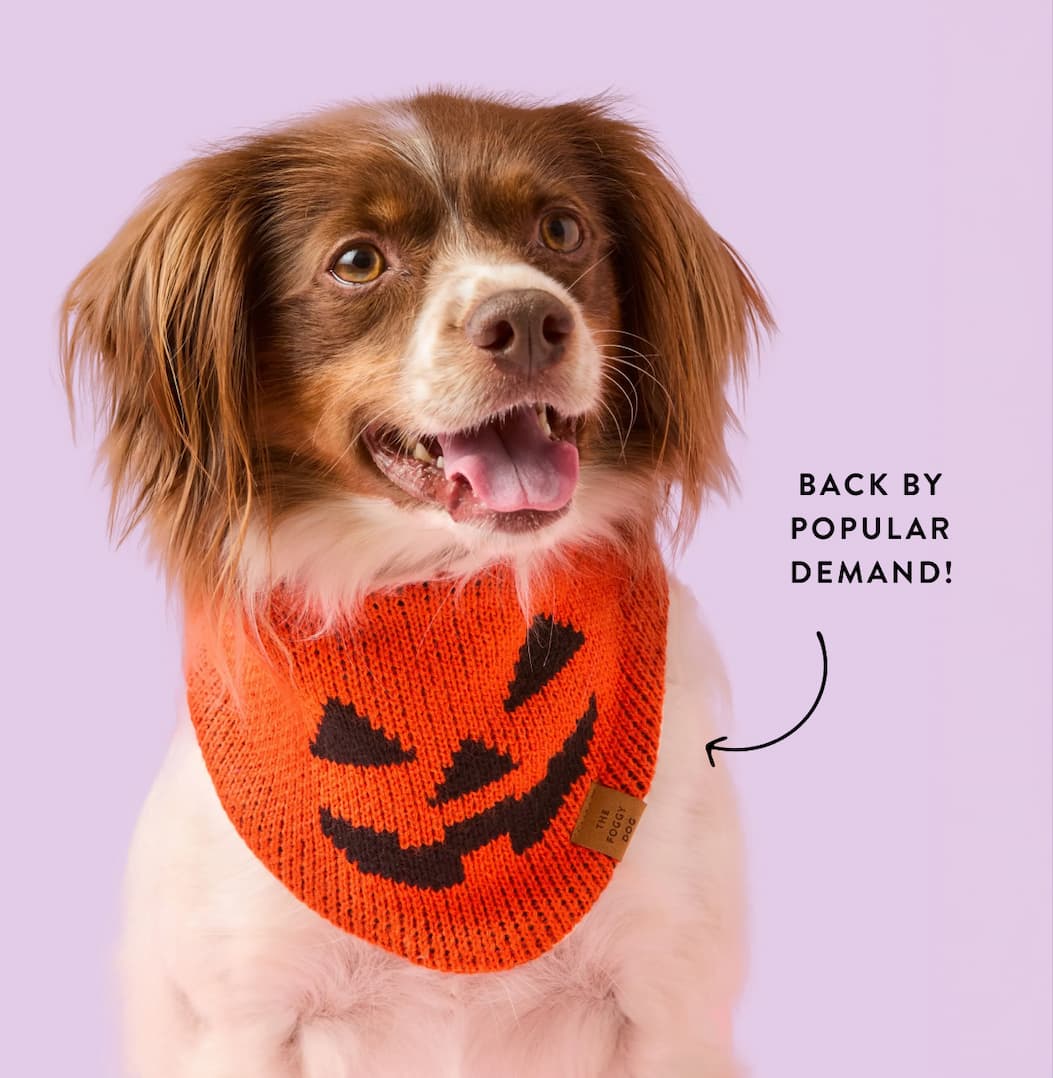 Shop Halloween