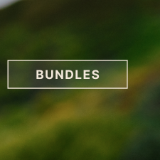 Bundles