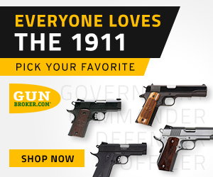 Shop 1911s by model on GunBroker