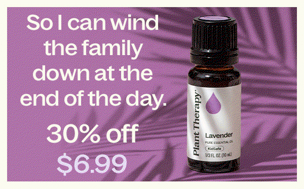 See Current Flash Deals