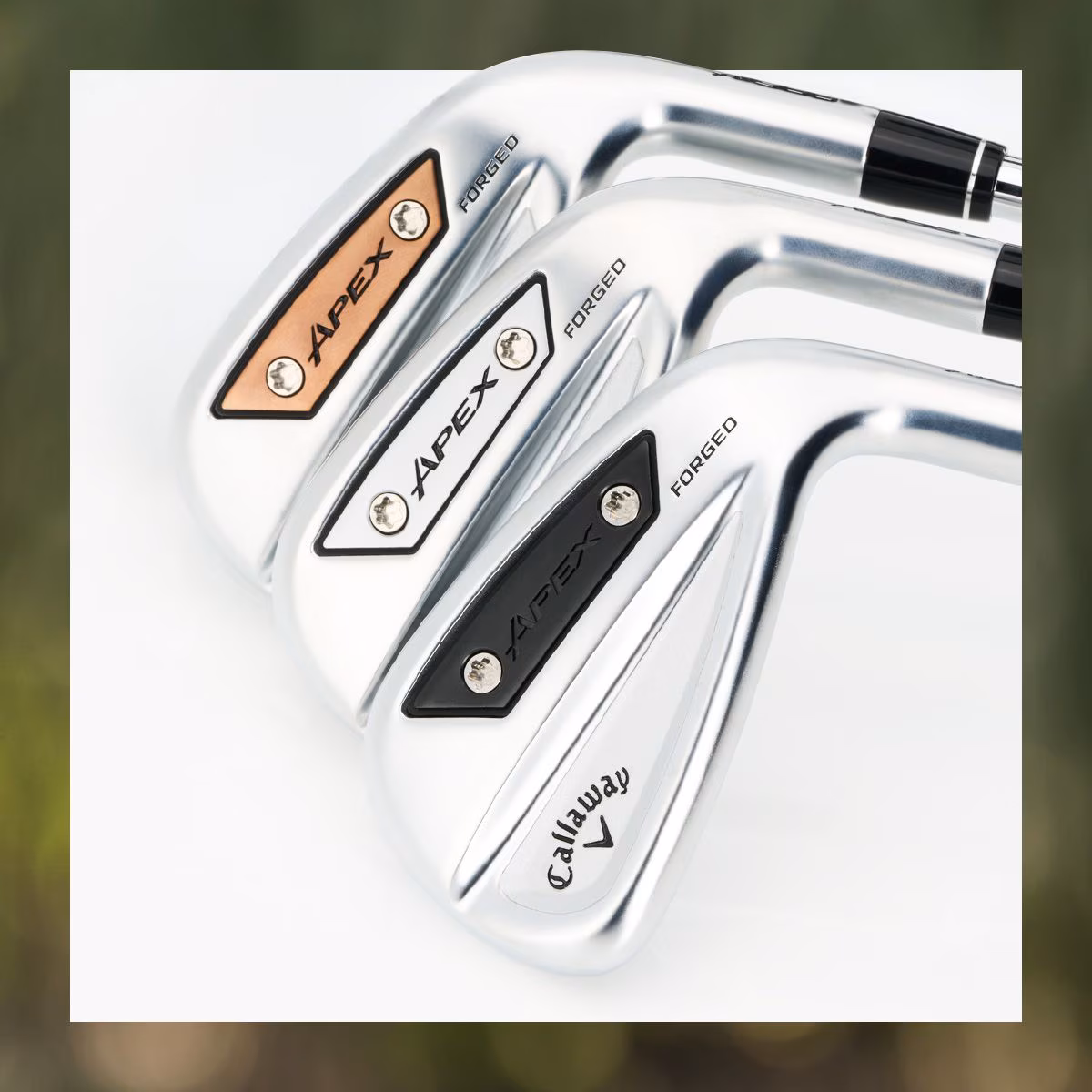 Apex Colored Weights