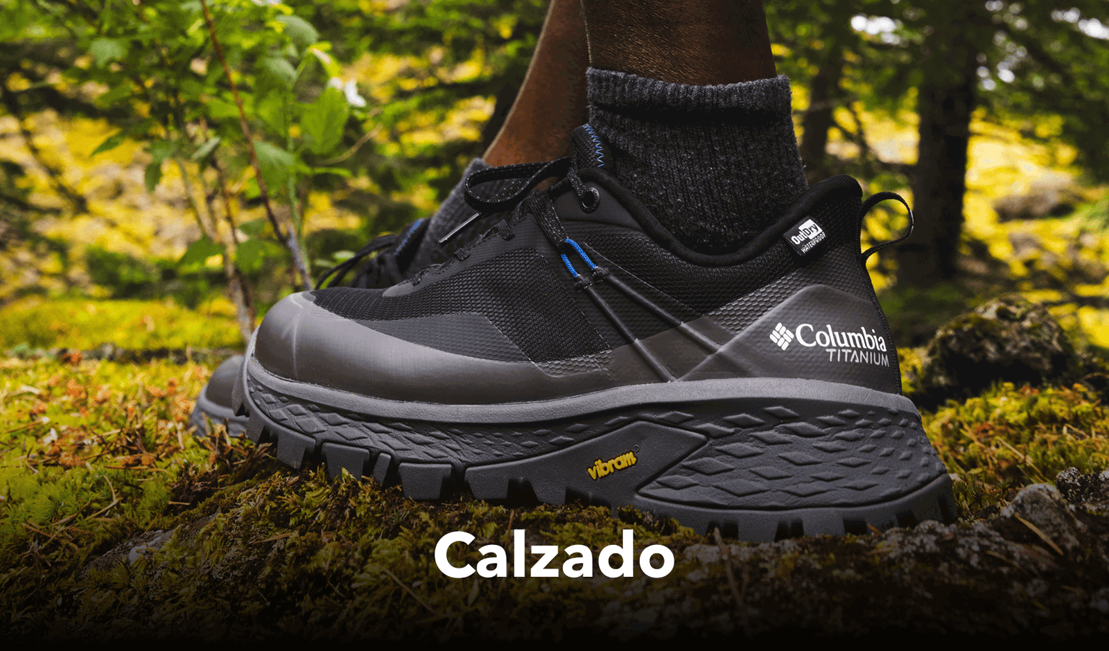 Calzado