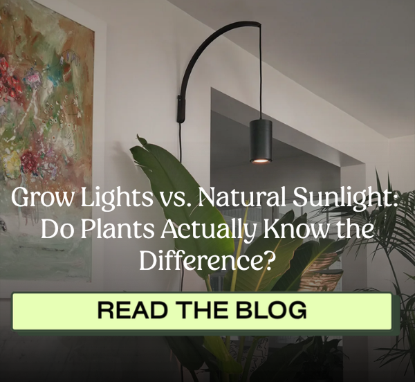 Read the blog >