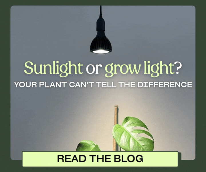 Read the blog post >