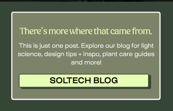 Explore the Soltech Blog >