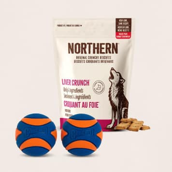 dog toys and treats under $20