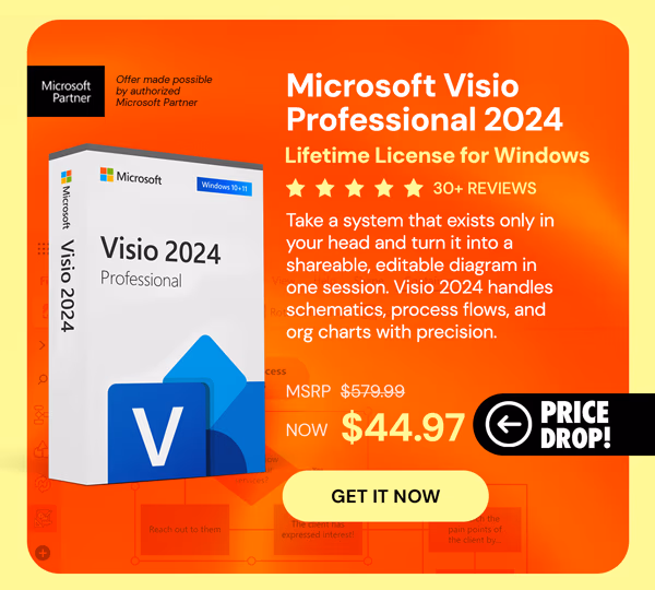 Microsoft Visio Professional 2024: Lifetime License for Windows