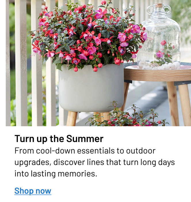Turn up the Summer