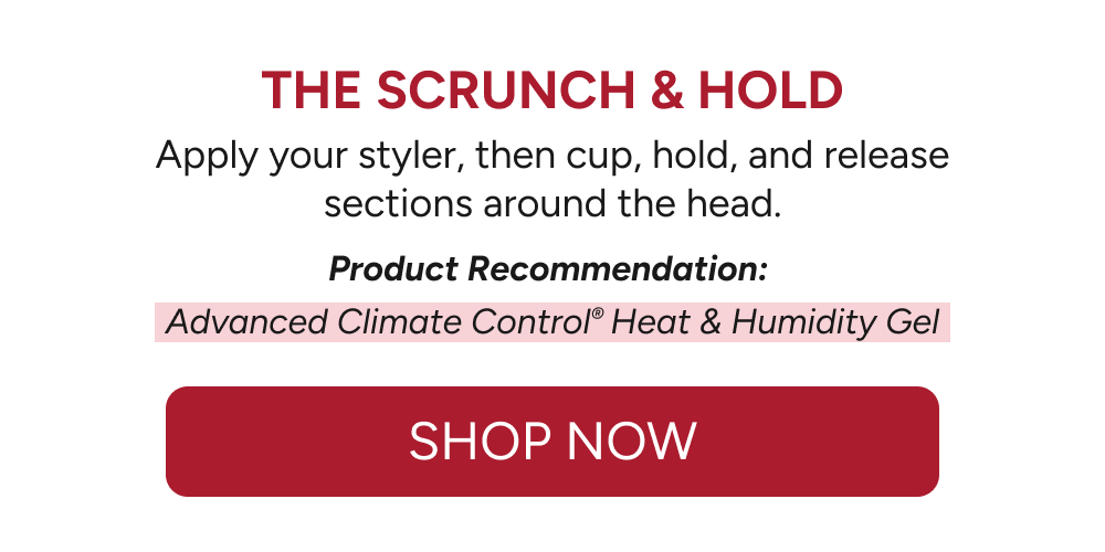 The Scrunch & Hold - Apply your styler, then cup, hold, and release sections around the head.  Product Recommendation:   Advanced Climate Control® Heat & Humidity Gel