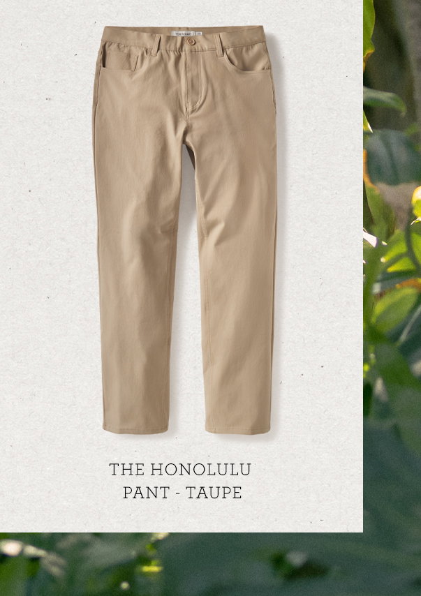 The Honolulu Pant in Taupe