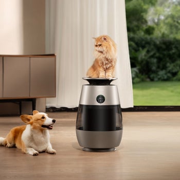 Dreame AP10 Pet Air Purifier