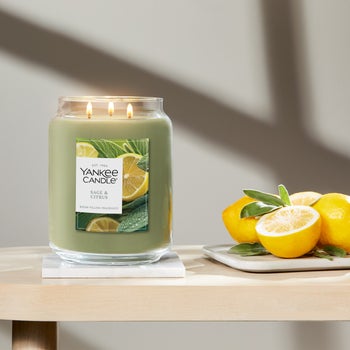 Yankee Candle 60 oz Jar Candle
