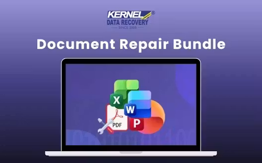 Kernel Document Repair Bundle
