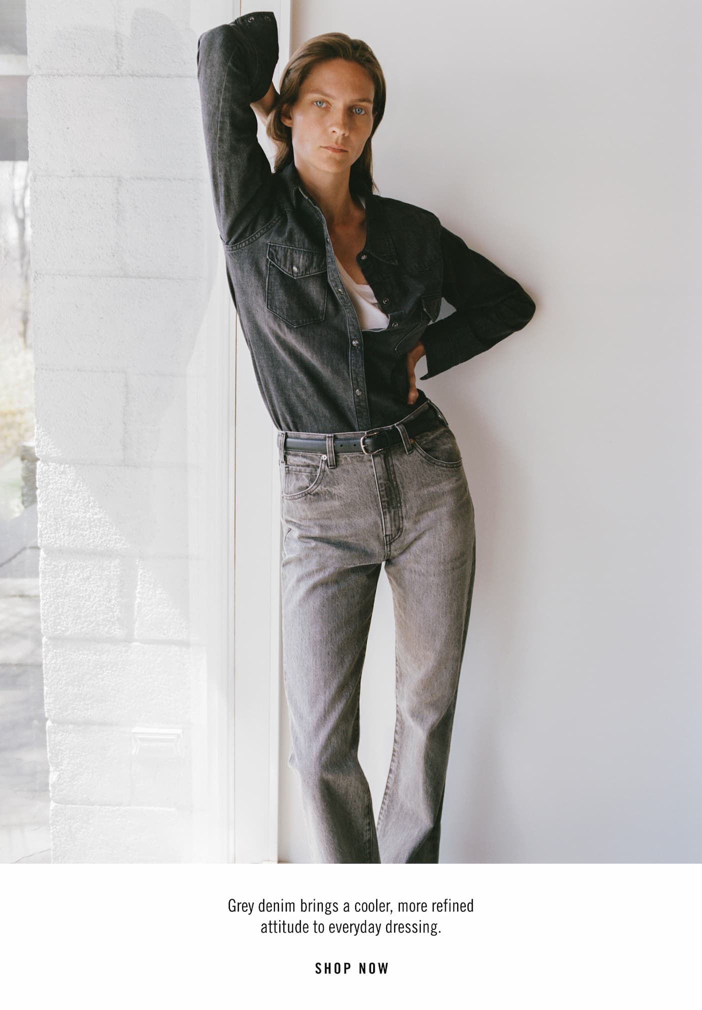 ASH GREY DENIM