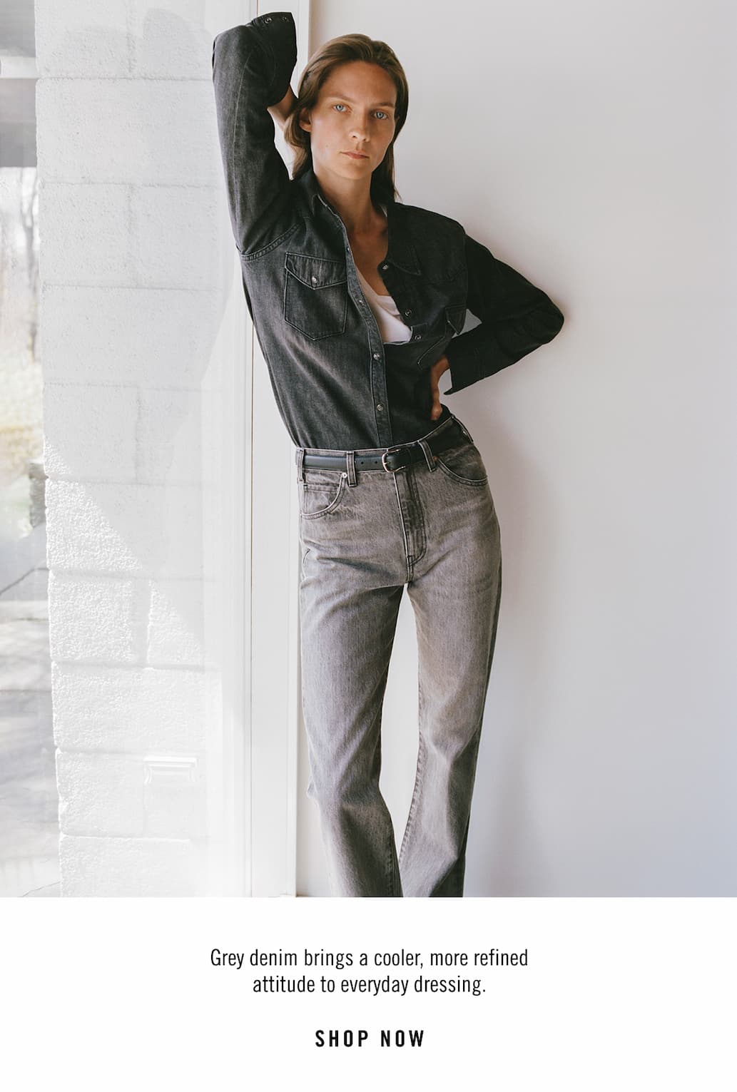 ASH GREY DENIM
