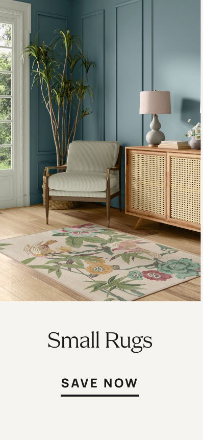 Small Rugs | Save Now 